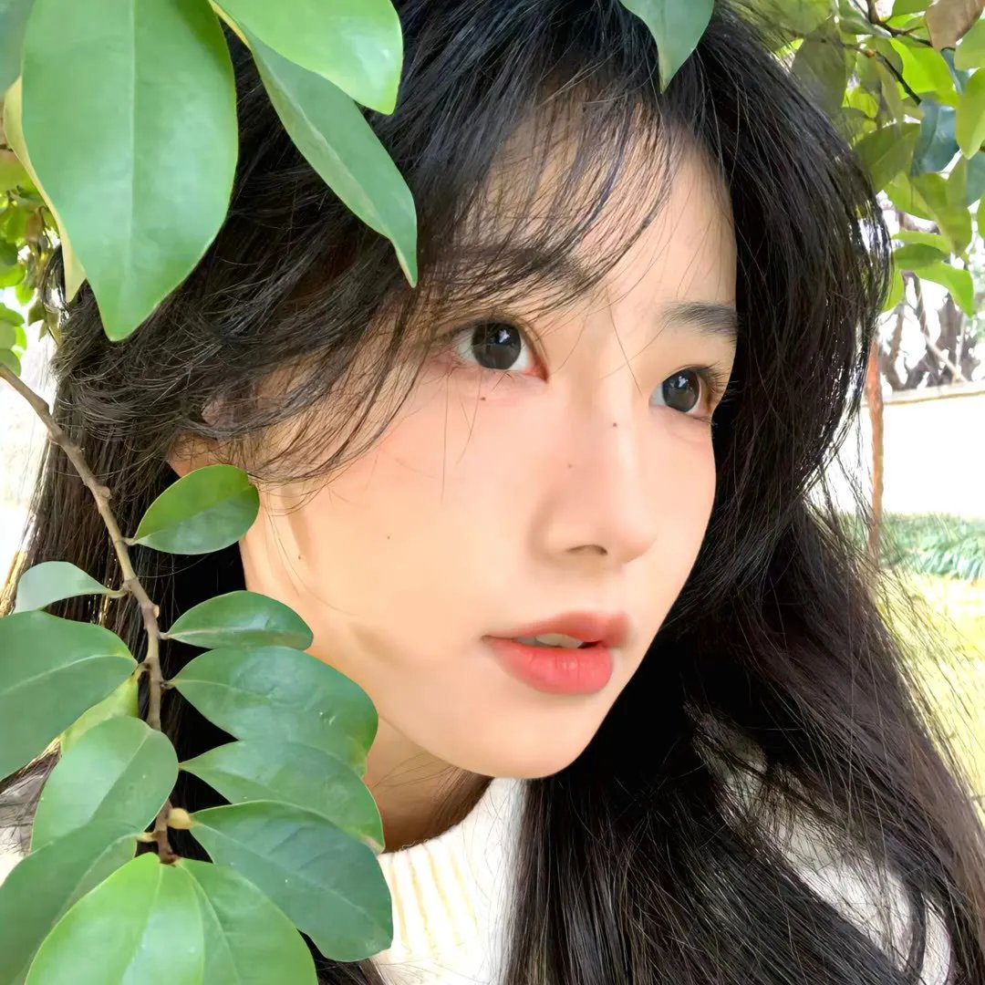 阿蒙与橡树